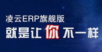 ERPʵʩ