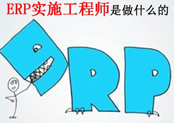 ERP,ERP实施,ERP顾问